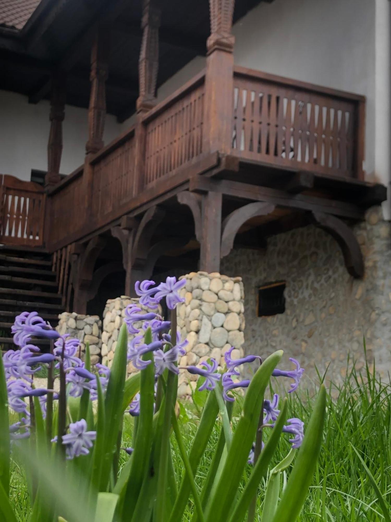The Carpathian Lodge Runcu  Exterior photo
